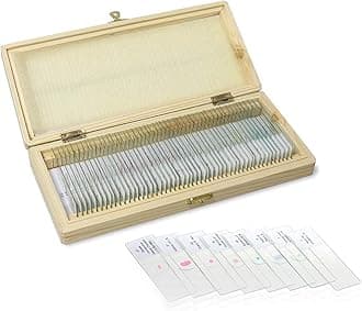 Basic Biology Prepared Microscope Slides, 50pcs of Microscope Specimen Slides, Packed in Fitted Wooden Storage Box, LVQ091