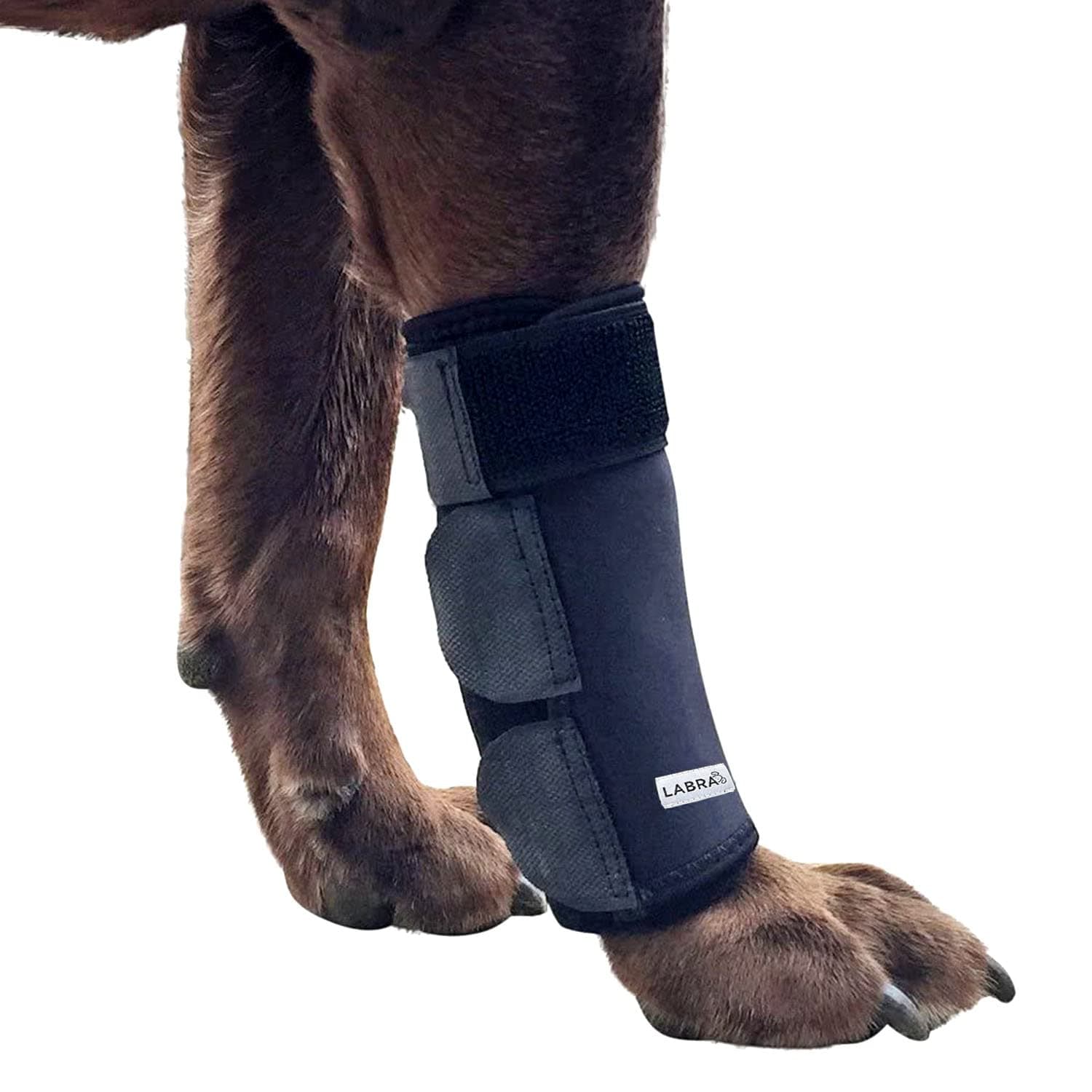 Dog Front Leg Brace - Compression Wrap with Adjustable Straps - Dog Wrist Brace for Support - Leg Sleeve to Stop Licking - Aid in Wound Care and Recovery - Large/Extra Large