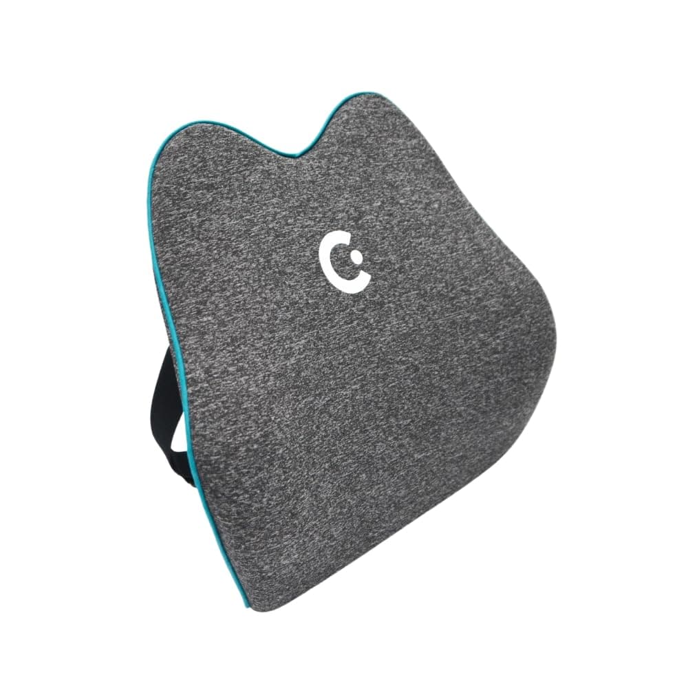Cushii V2 Back Support Cushion for Lower Pain Relief Universal Fit for Desk, Office, Kitchen Chairs, Couch Cushions with Advanced Back Lumbar Support