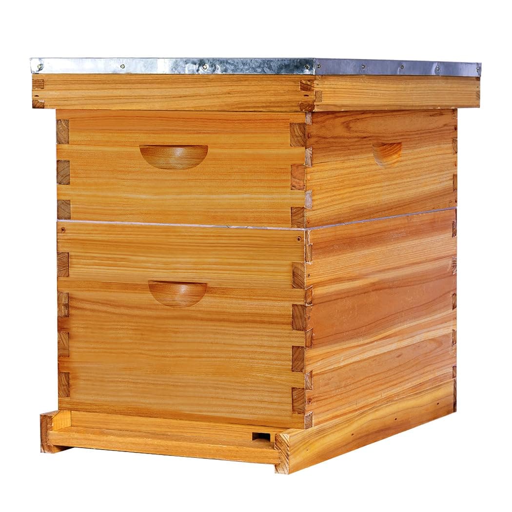 Beehive - 8 Frame Starter Kit, Beeswax Coated for Bee Keeper, Langstroth Hive With 1 Deep and 1 Medium Box, Frames and Foundation (Unassembled)