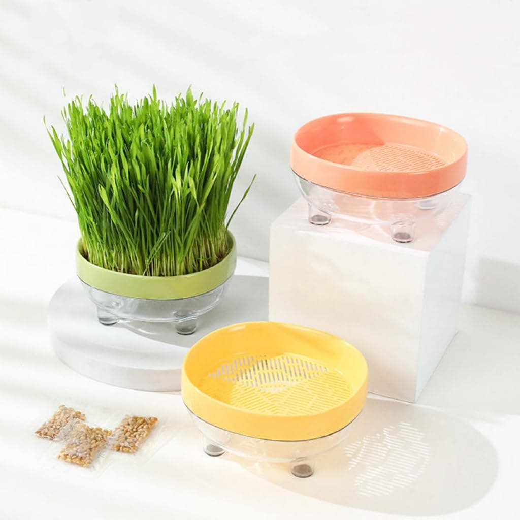 Cat grass box Easy Grow Kit,Helps Cat’s Digestive System.