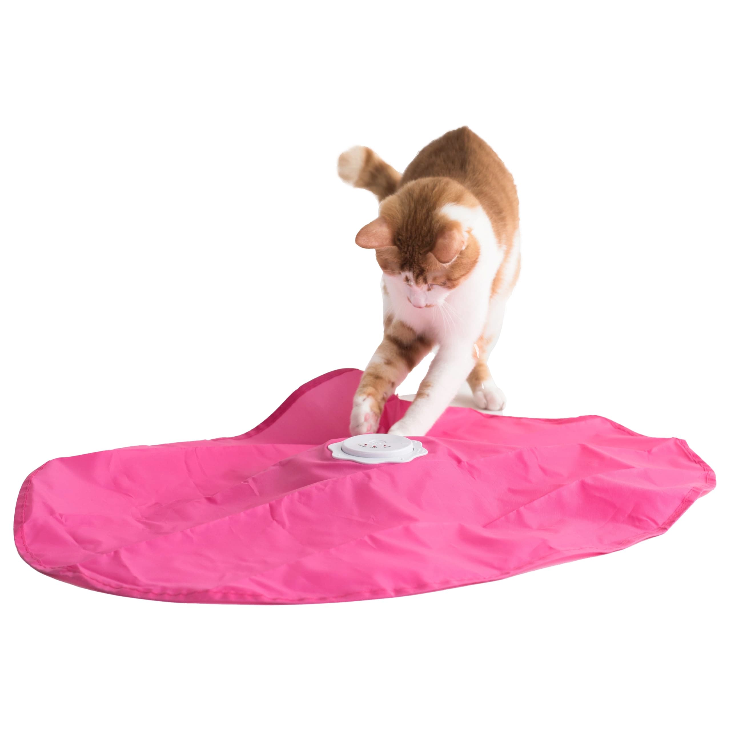 BlackHole Litter Mat Interactive Cat Play-Catch The Tail-Electric, Rotating Feather , Motion, Automatic, Best Undercover Mouse Under Blanket cat Toy
