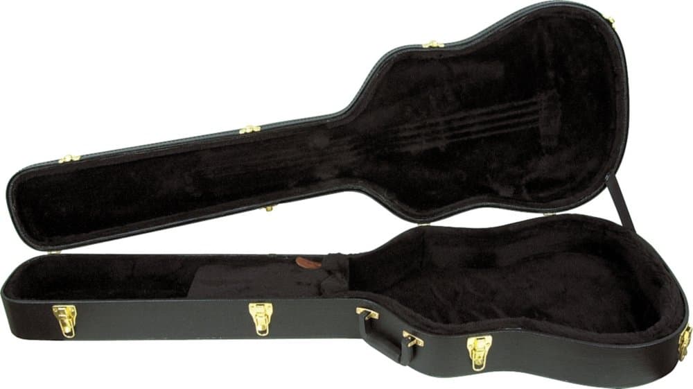 AEB50C Acoustic Bass Case