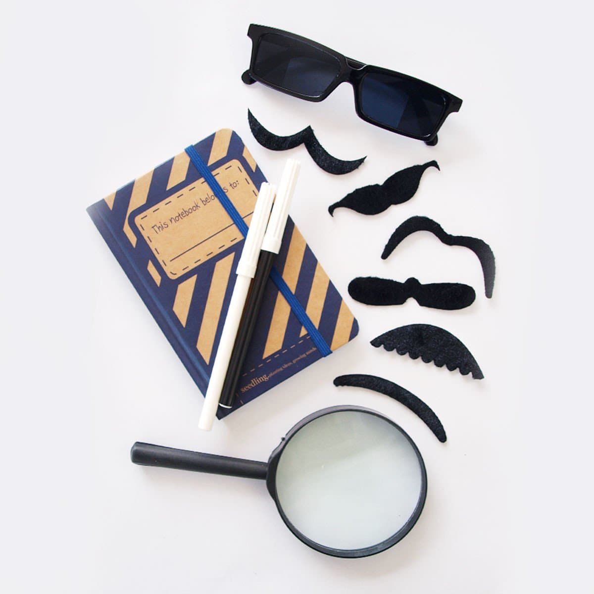 Seedling Top Secret Spy Adventure Kit