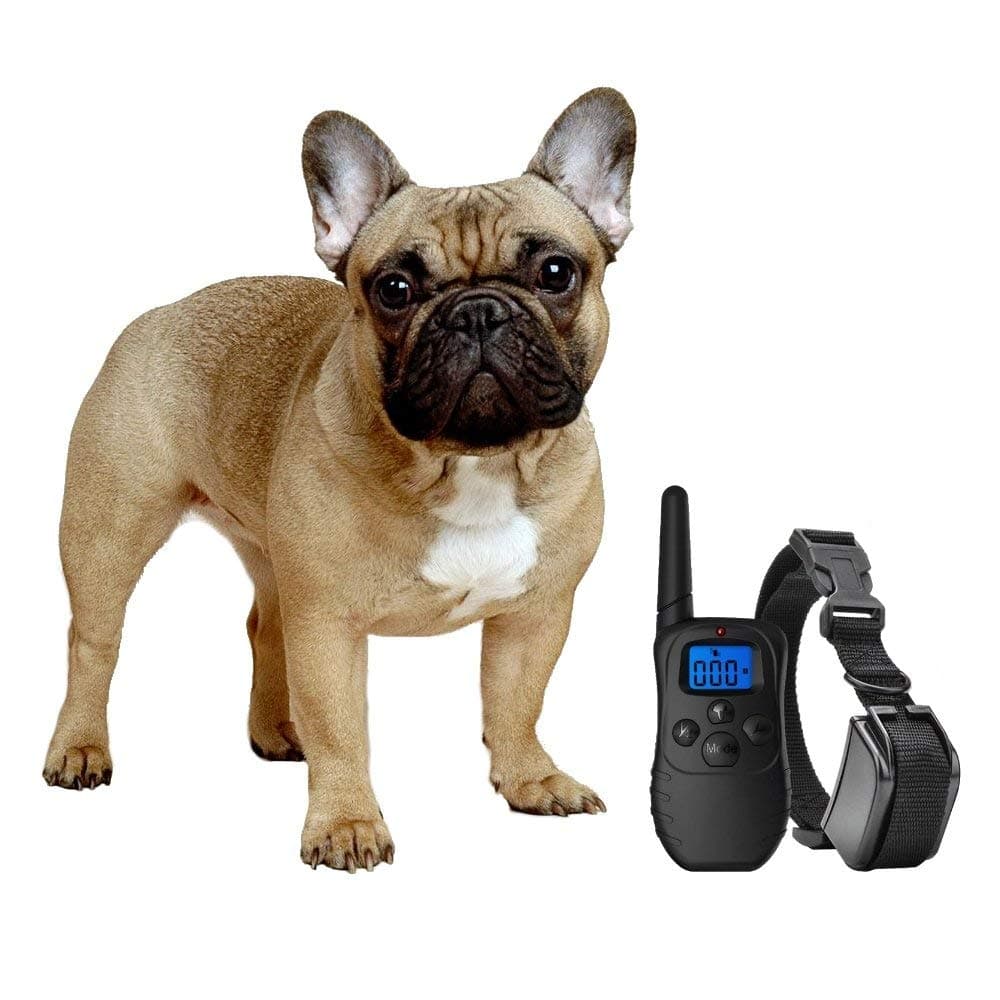 eXuby Shock Collar for Small Dogs with Remote - Includes 2 Collars - Small & Medium and Training Clicker – 3 Modes (Sound, Vibration & Shock) with Rechargeable Batteries