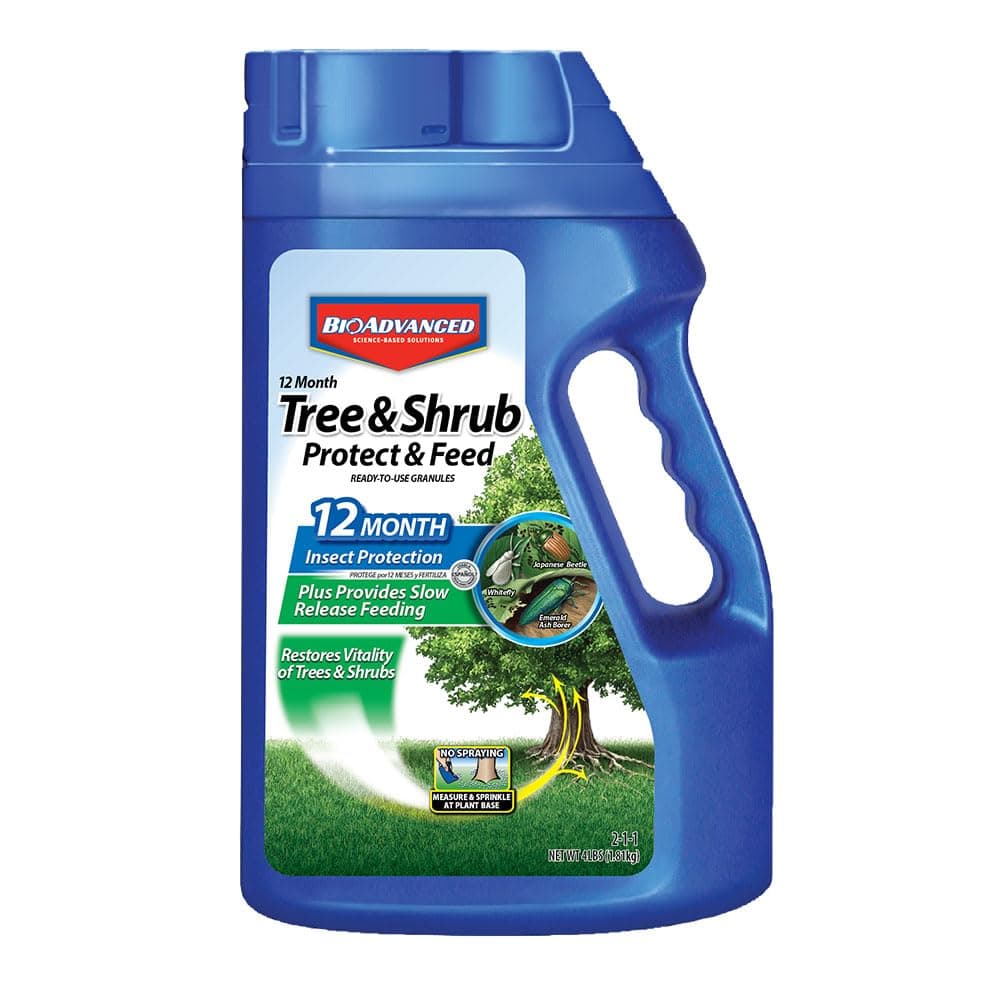 BioAdvanced 12 Month Tree and Shrub Protect and Feed, Granules, 4 lb, Insect Killer and Fertilizer & Plant Food