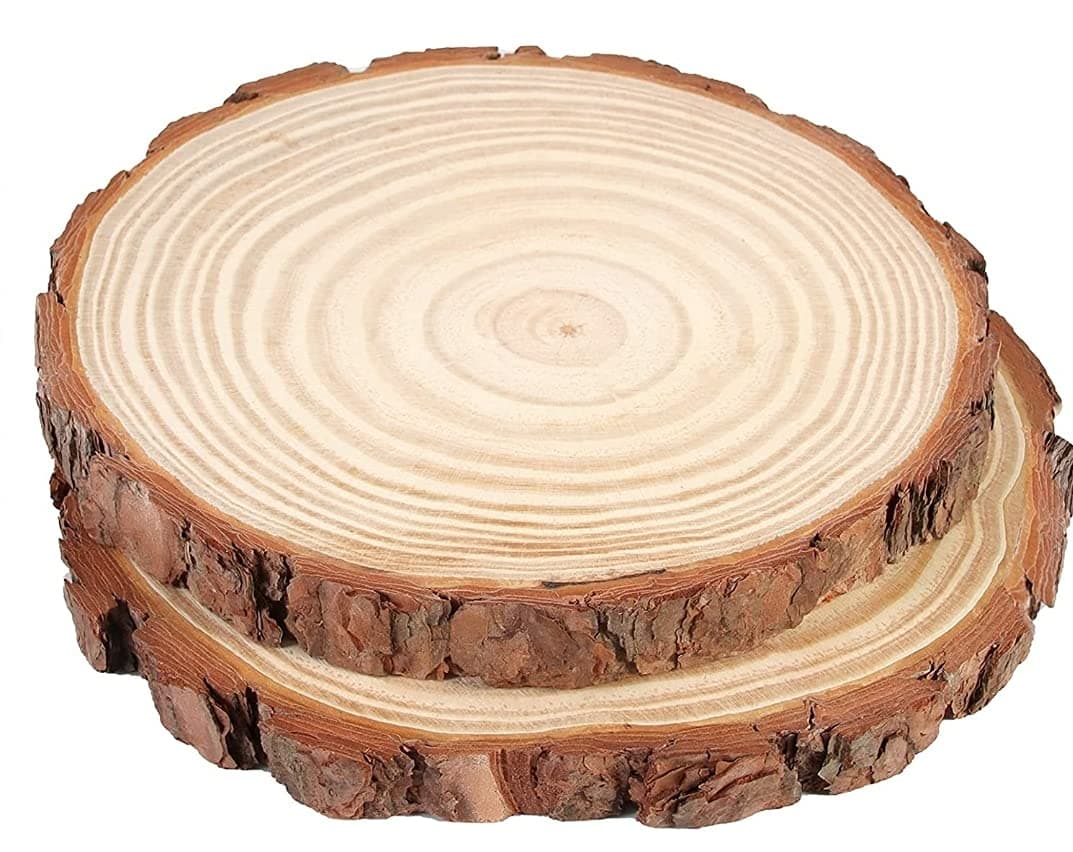 Unfinished Natural Plain Wood Coaster Slice 24 CM With Tree Bark Circle Platter Log Discs rustic 2 pack (Christmas Wedding,Country Décor Risen Art Craft Table chargers Center pieces board) Untreated