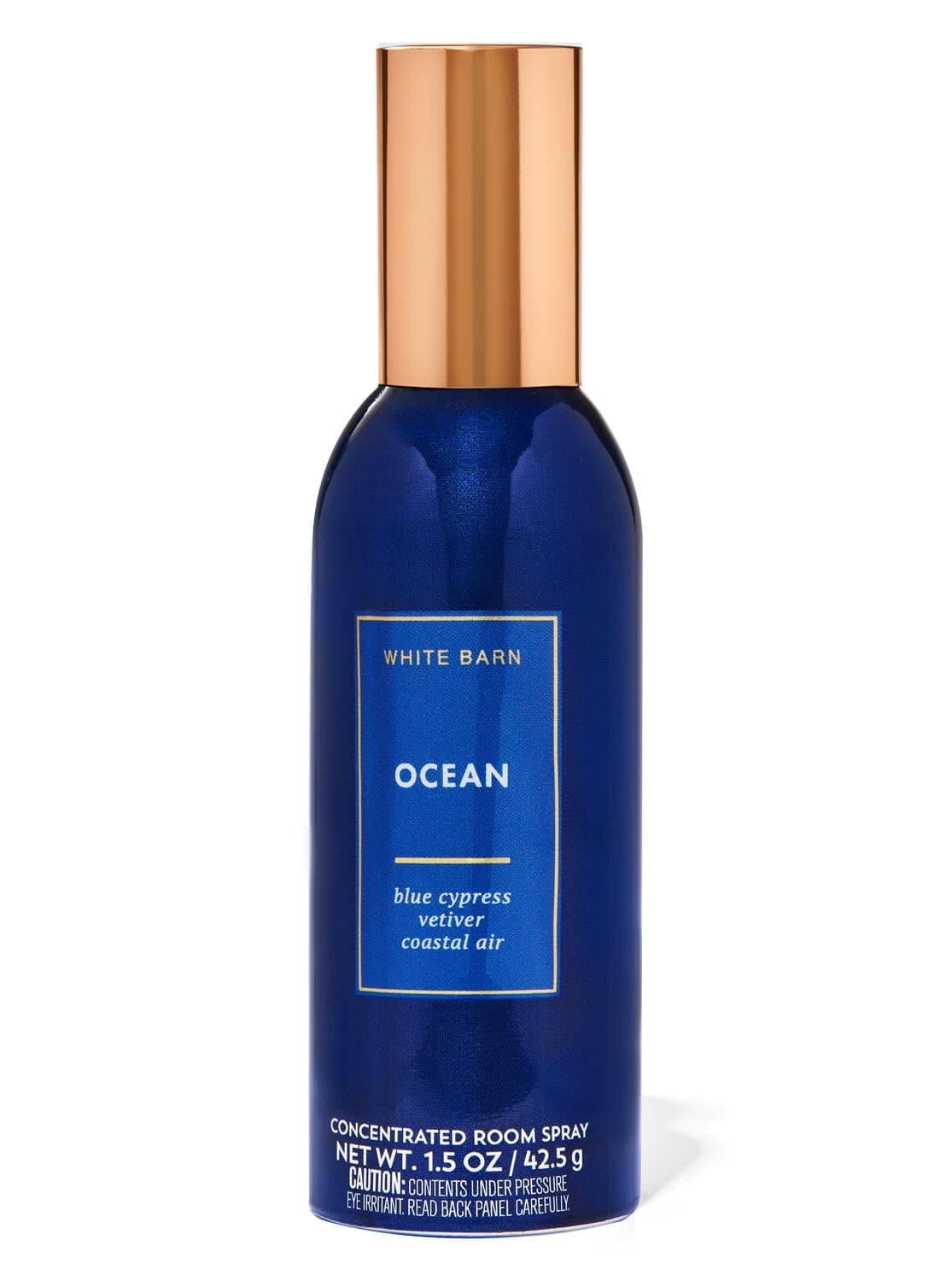Ocean Concentrated Room Spray