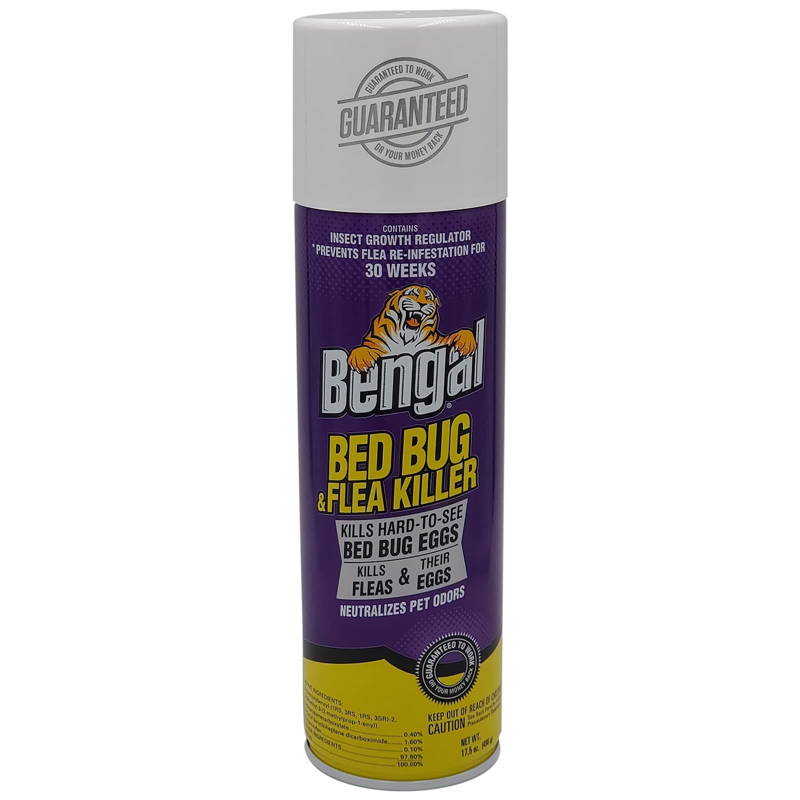 Bed Bug and Flea Killer Aerosol Spray with Insect Growth Regulator, 17.5 Oz. Aerosol Can