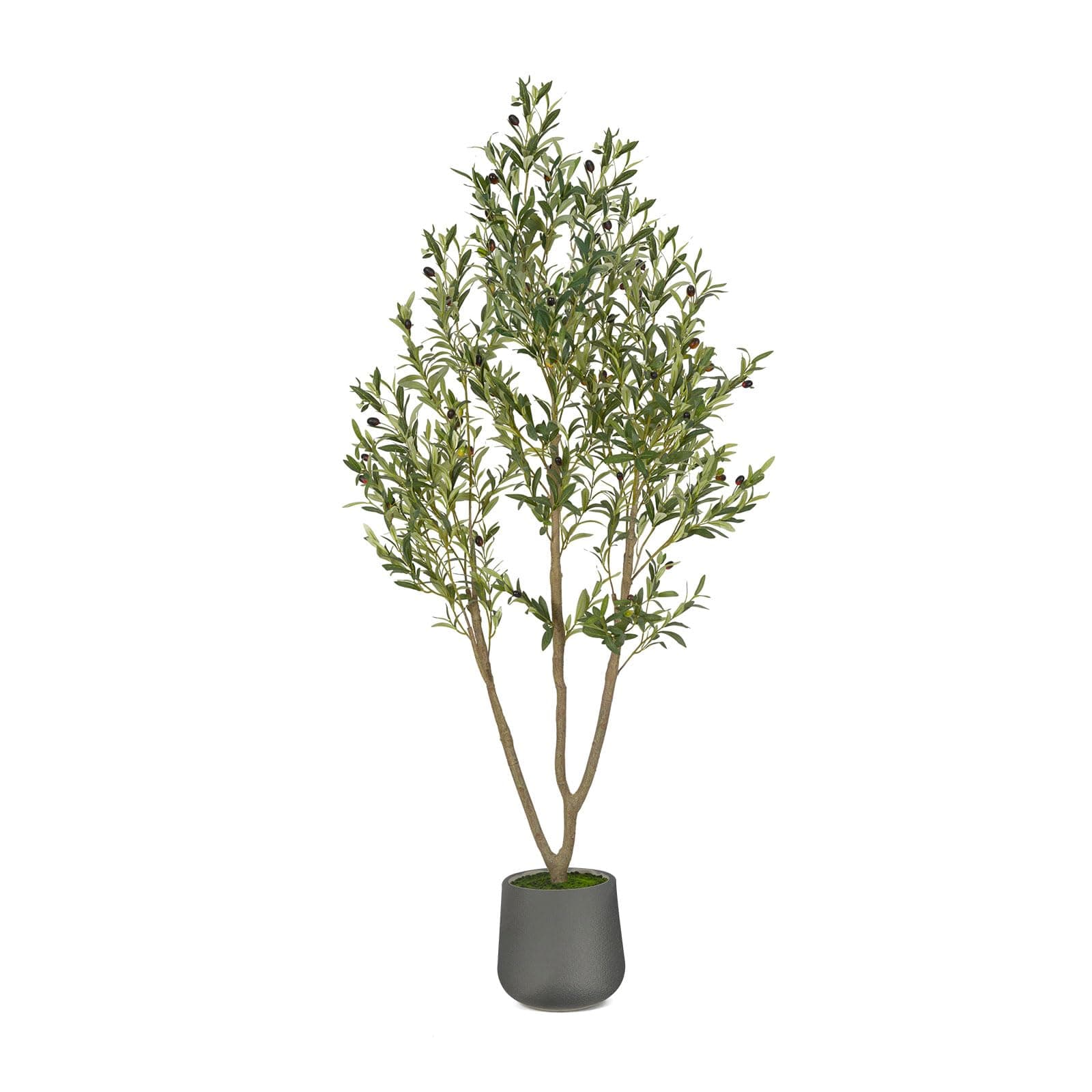 Artificial Olive Tree, 6FT Tall Faux Olive Tree with Gray Planter, Artificial Plants with Natural Wood Trunk and Lifelike Fruits for Home Office Decor