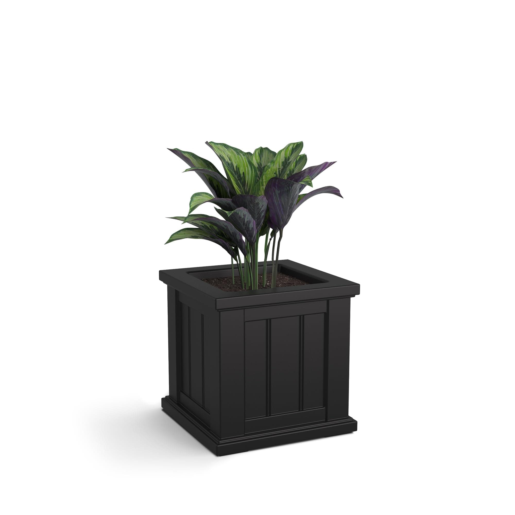 Mayne Cape Cod 14-Inch Square Planter – Self-Watering, Weather-Resistant Planter for Flowers – Durable Outdoor Design for Patio, Porch, or Entryway