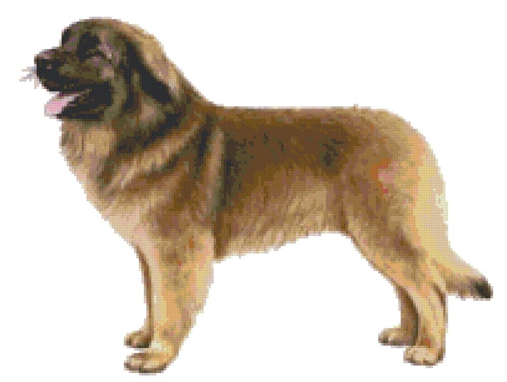 Leonberger Dog Counted Cross Stitch Pattern