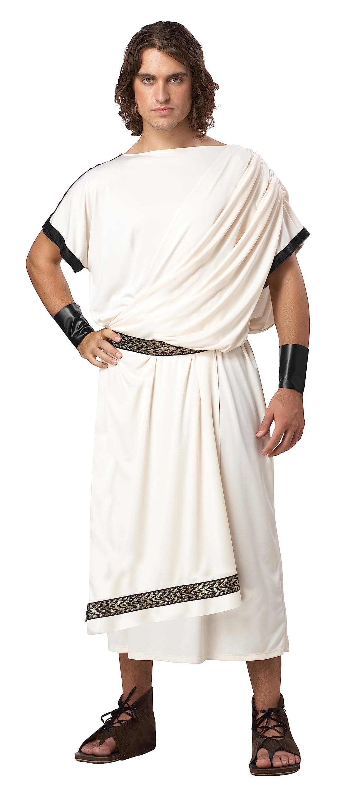 California Costumes Men's Deluxe Classic Toga