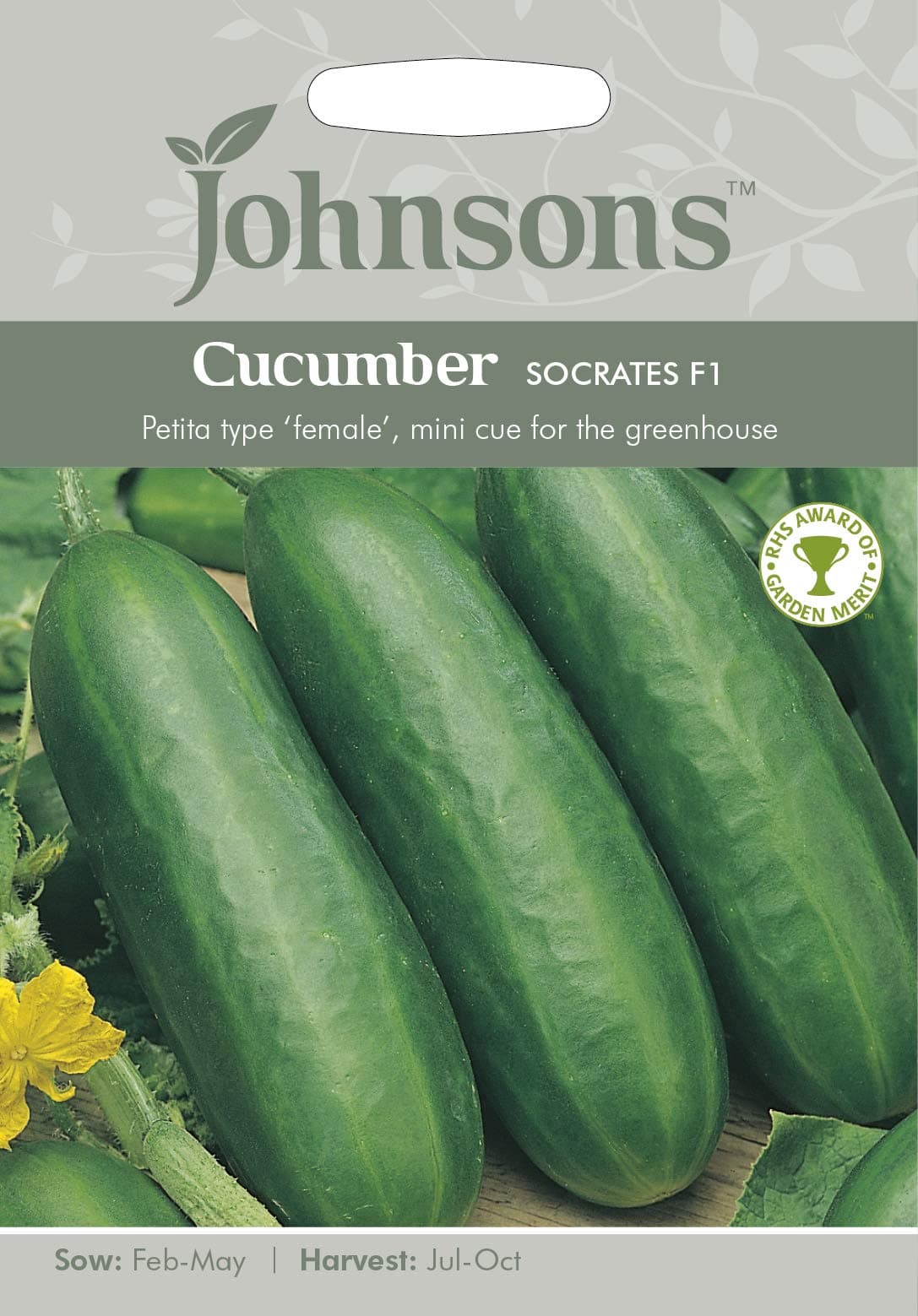 Cucumber Socrates F1 seeds