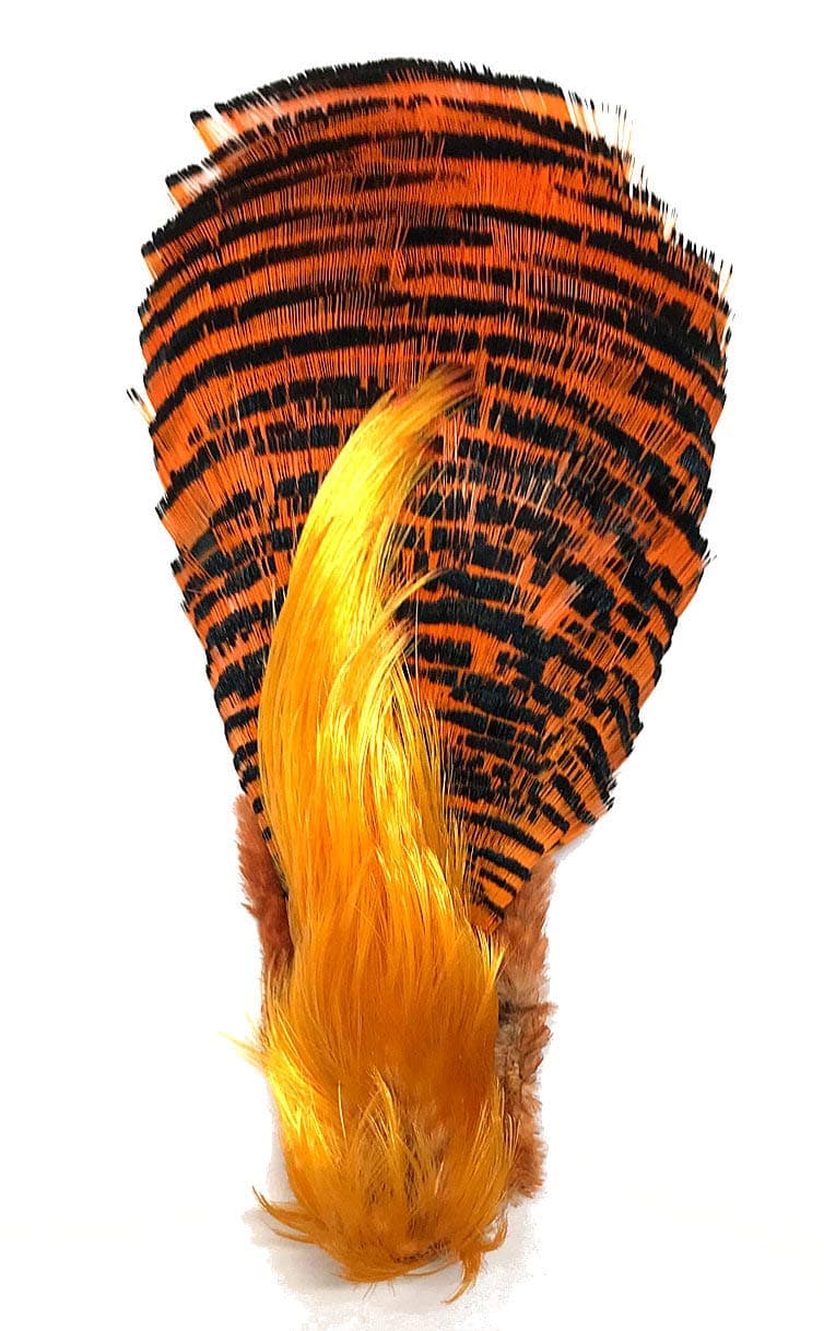 Complete Golden Pheasant Crowns
