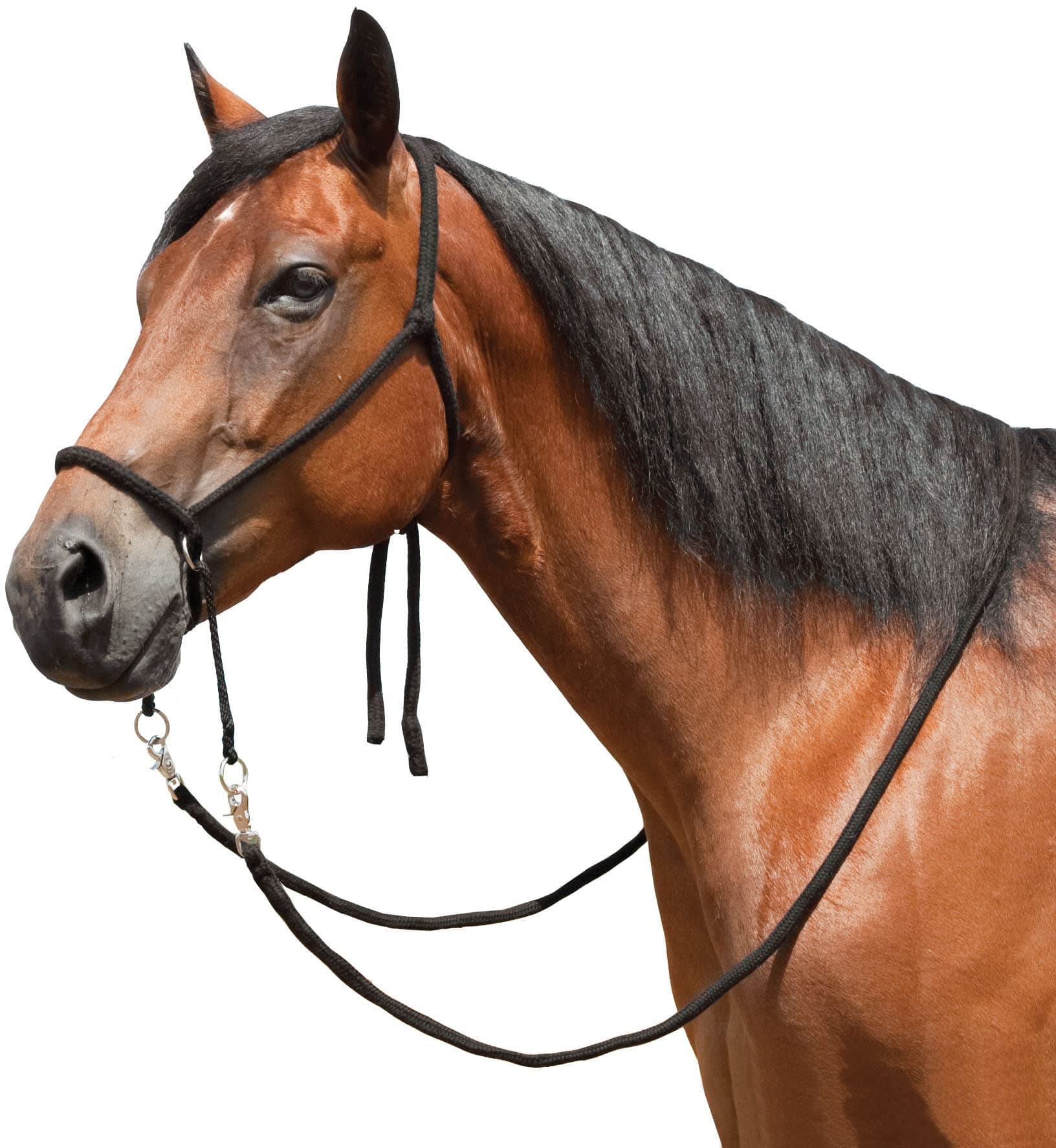 Mustang Nylon Bitless Bridle w/Reins