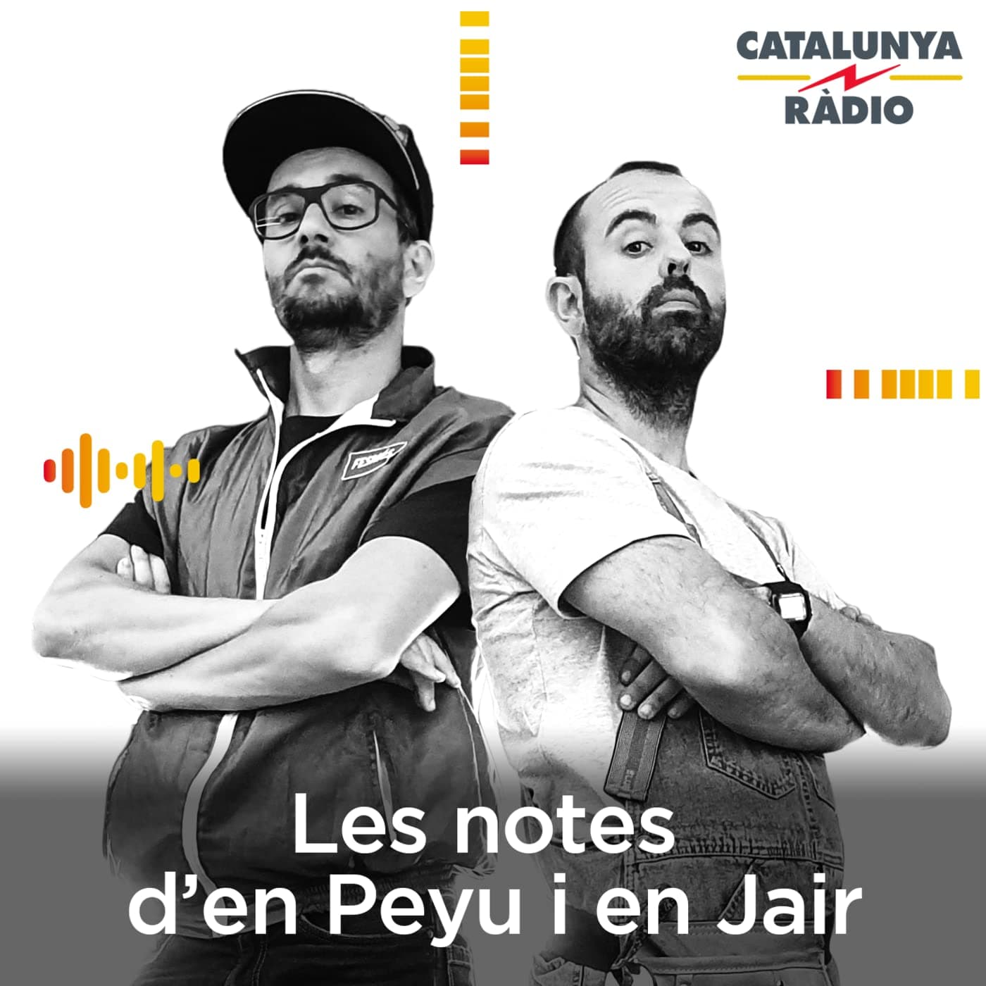 Les notes d'en Peyu i en Jair