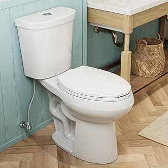 HOROW 19 Inch Tall Toilets, Extra High Toilets with Comfort Chair Height Seat, 1.1/1.6 GPF Dual Flush Two-Piece Toilet, 12" Rough In Elongated Bowl for Seniors, Pregnant, Disabled & Tall Person, White