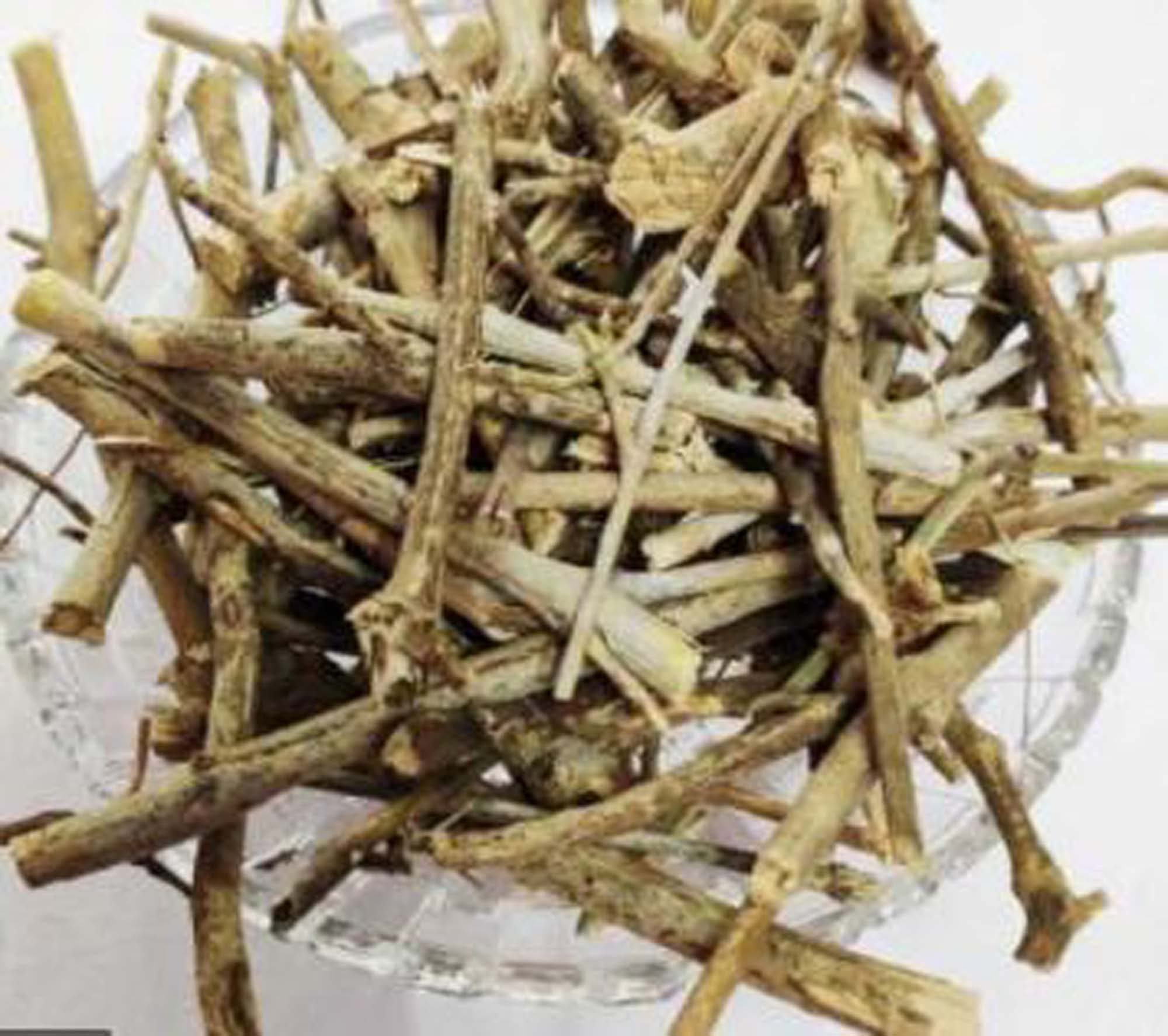 Bansa Black-Malabar Nut-Raw Herbs-Vasa-Adusha-Adhatoda Vasaka-Single Herbs-Jadi Booti (500 Gram)