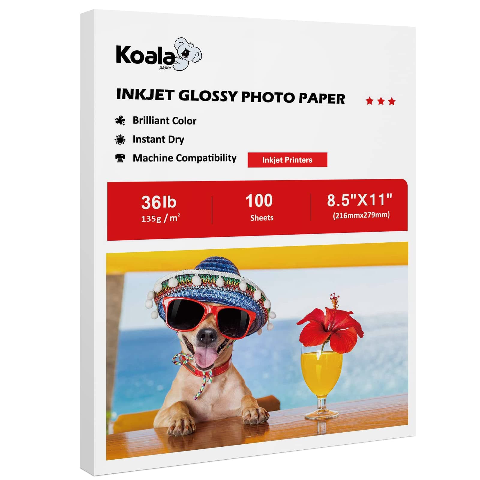 Koala Glossy Thin Inkjet Printer Paper for DIY Chip Bag and Print Brochure Flyer 8.5x11 Inches 100 Sheets 36LB for Inkjet Printers Use DYE INK