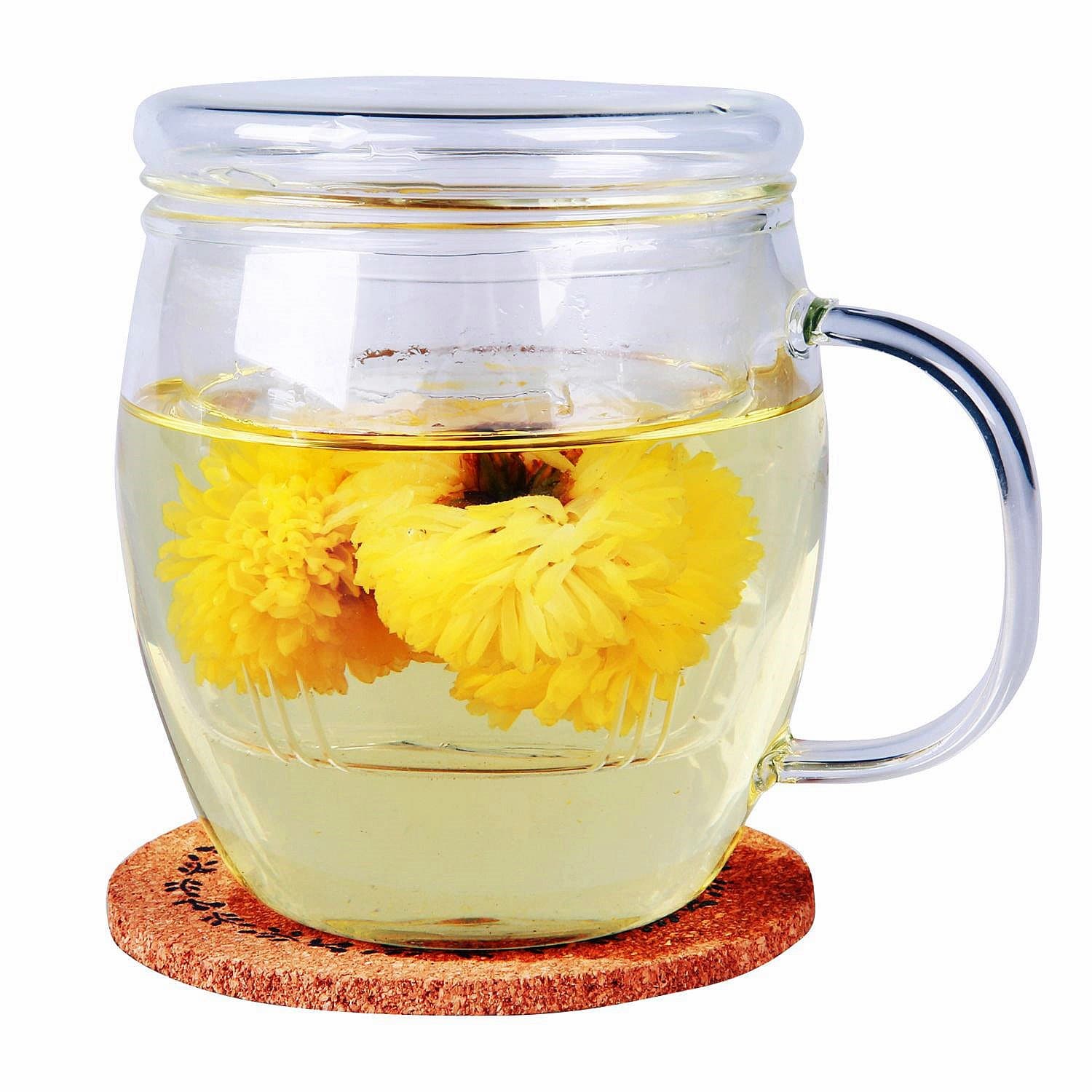 Tea Infuser Mug (16.8 Oz) Set With Glass Tea Strainer Thickened Glass Cup, Lid And Cork Coaster, Prefect Loose leaf Tea Steeper Cup, Portable Tea Maker With Glass Tea Filter, Beautiful Cup From KLS