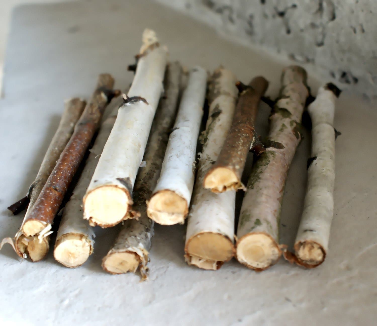15 Birch Branches Sticks, Birch Log, White Birch Branches. Decorative Birch Wood Birch Wood Logs. Birch Sticks for Handmade