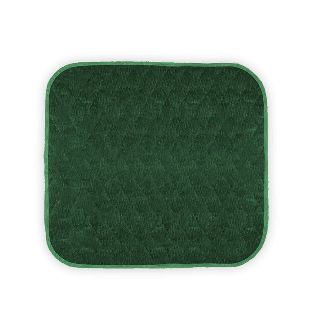 1 Pack Washable Waterproof Seat Protector Pads, 21" x 22" Reusable Seat Cover, Furniture Protection for Protection for Elderly Seniors, Kids, Pets, Ultra Absorbent Pee Pads (Green)