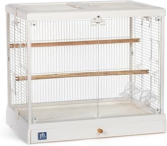 Prevue Pet Products Clear View Glass Standing Bird Cage - Ideal for Small Birds like Parakeets, Budgies, Finches, Cockatiel, & Lovebirds, Stand-Alone Birdcage - White