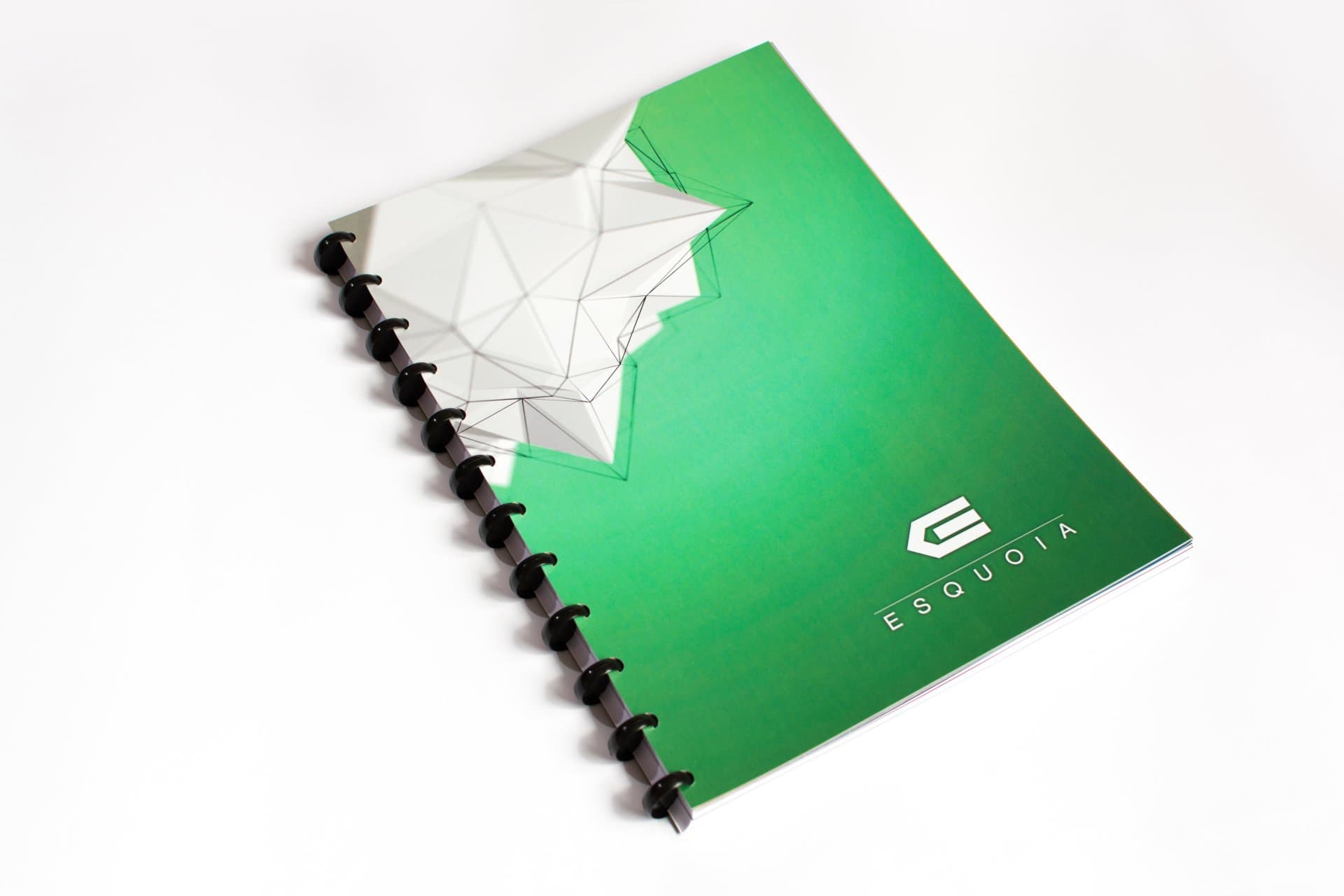 ESQUOIA Standard (Grid), Reusable, Dry-Wipe Green