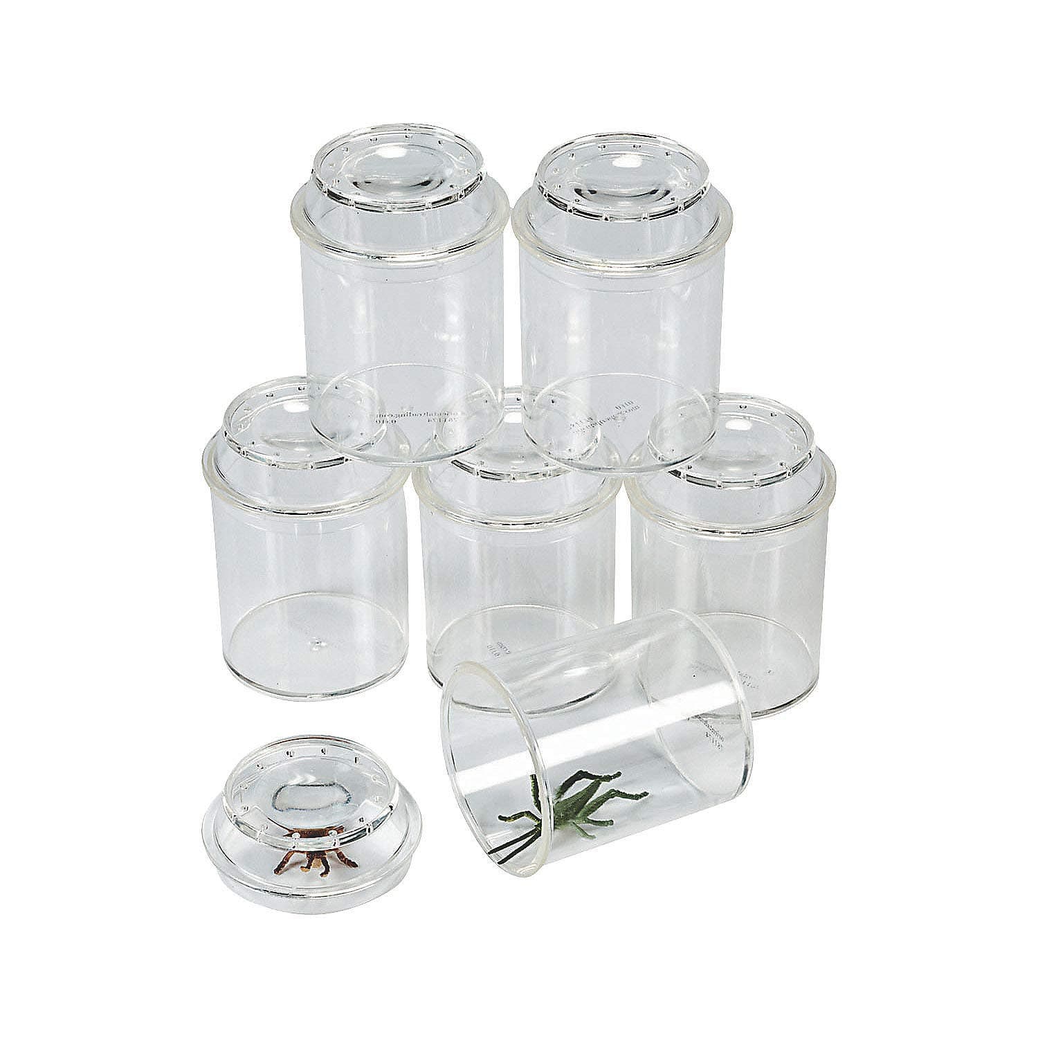 See-Through Bug Box Jars – Set for Educational Science & Nature Exploration – Ideal for Kids Learning Activities – Insect Observation & Outdoor Adventures Clear-– 10 Pieces