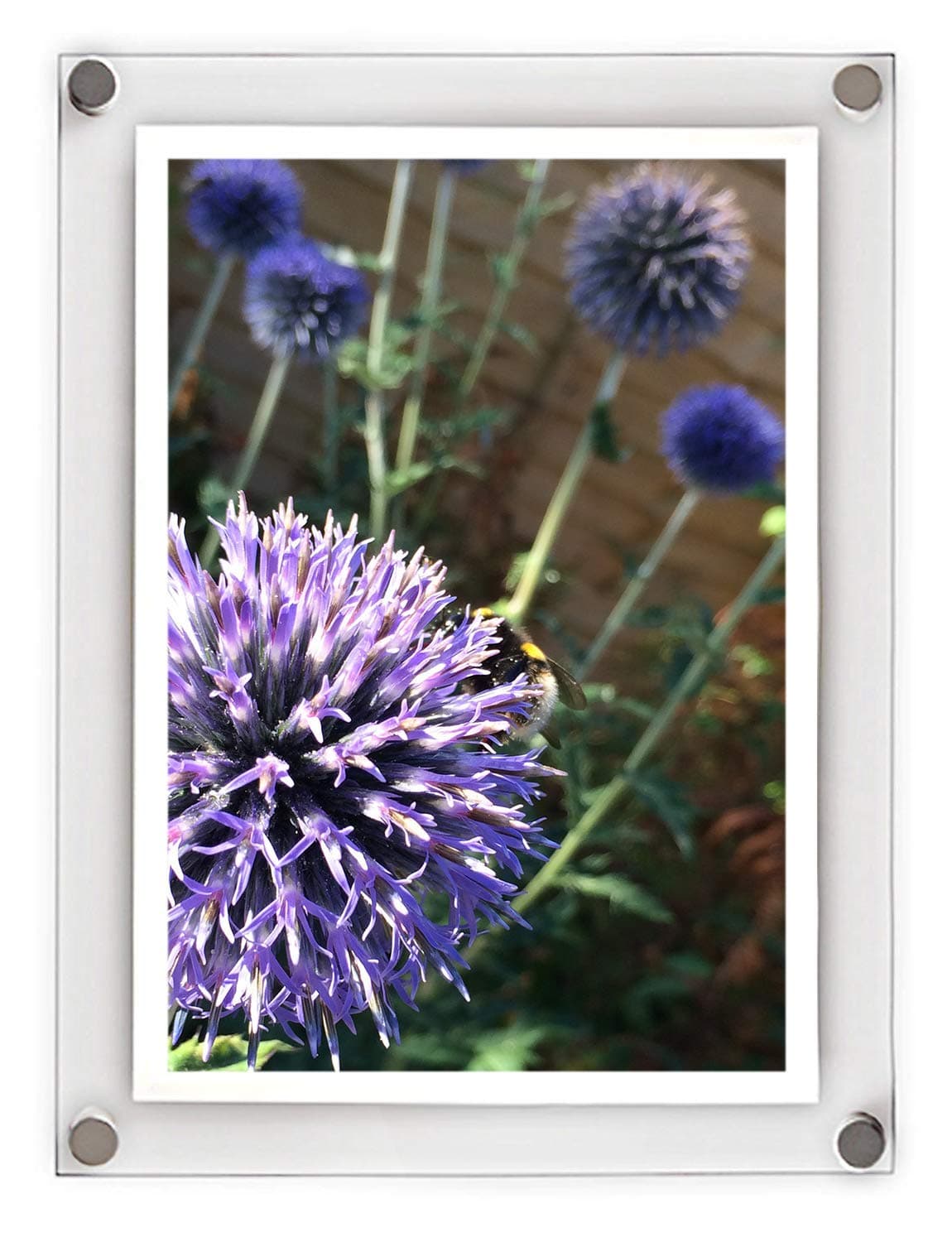 A4 Modern Acrylic Photo Frame - Stylish Wall Frame