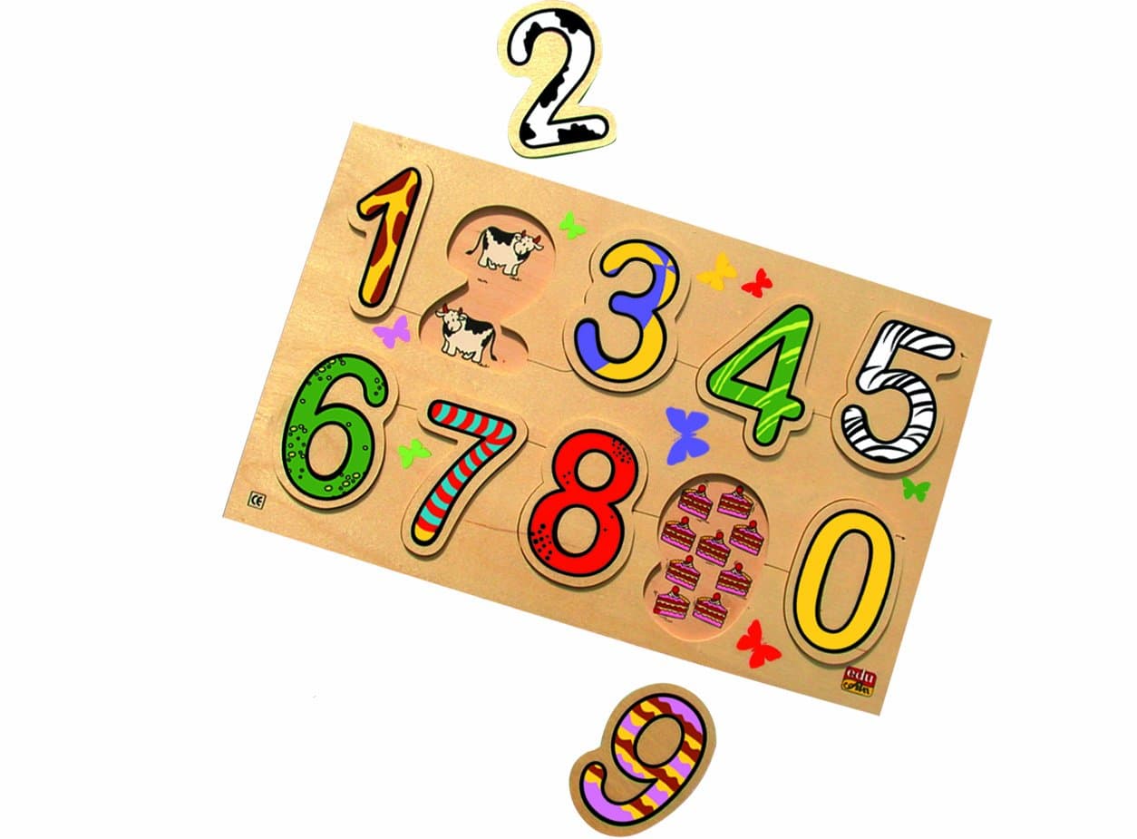 Edu-Fun What Inside My Numbers Toy