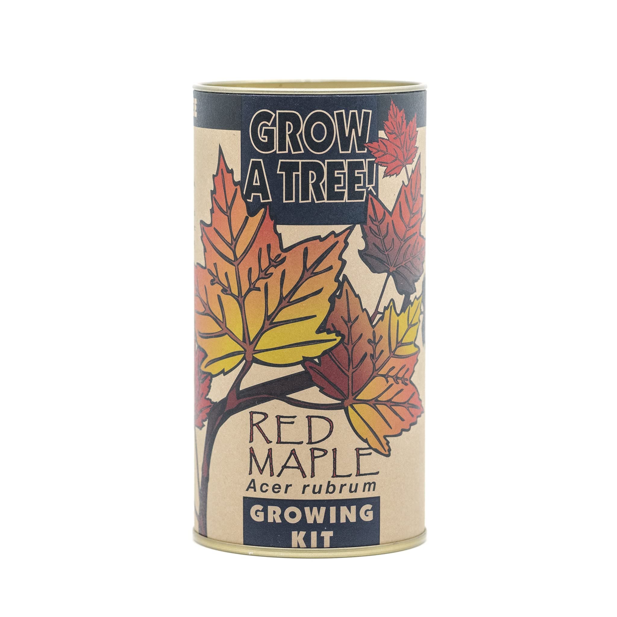 Red Maple | Tree Seed Grow Kit | The Jonsteen Company