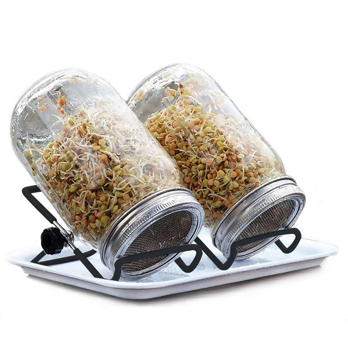 2 Pack Black Sprouting Jar Stand Stainless Steel Sprouting Stands Kit Foldable and Non-slip Scaffolds for Mason Jar and Phone iPad Tablet (2pcs L)