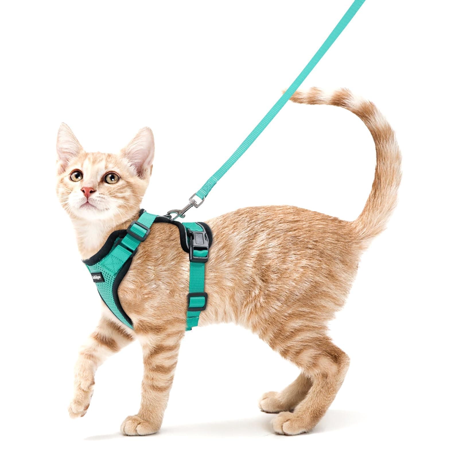 rabbitgoo Cat Harness and Leash for Walking, Escape Proof Soft Adjustable Vest Harnesses for Cats, Easy Control Breathable Reflective Strips Jacket, Emerald, S (Chest: 18" - 20")