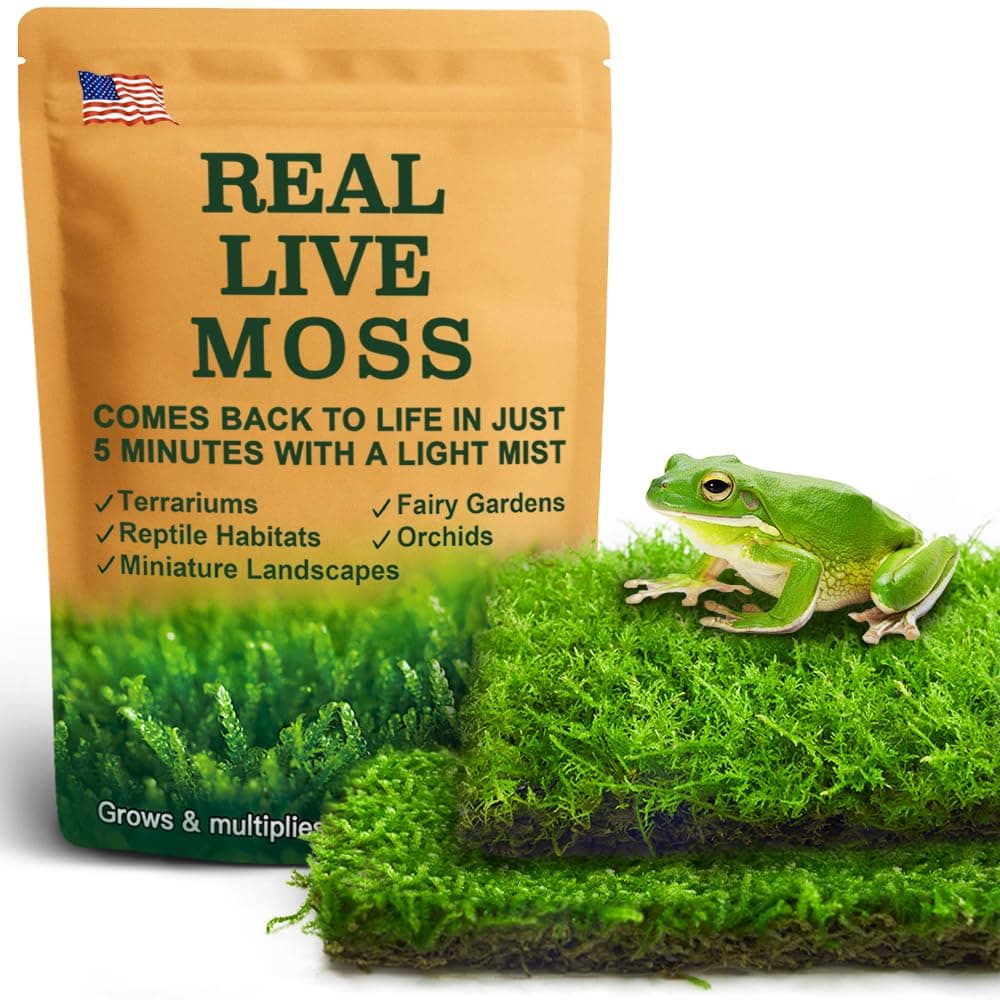 Live Moss Duo Pack – 2 Varieties Mixed Moss for Reptile Terrariums, Amphibian Habitats, Bonsai, Vivariums
