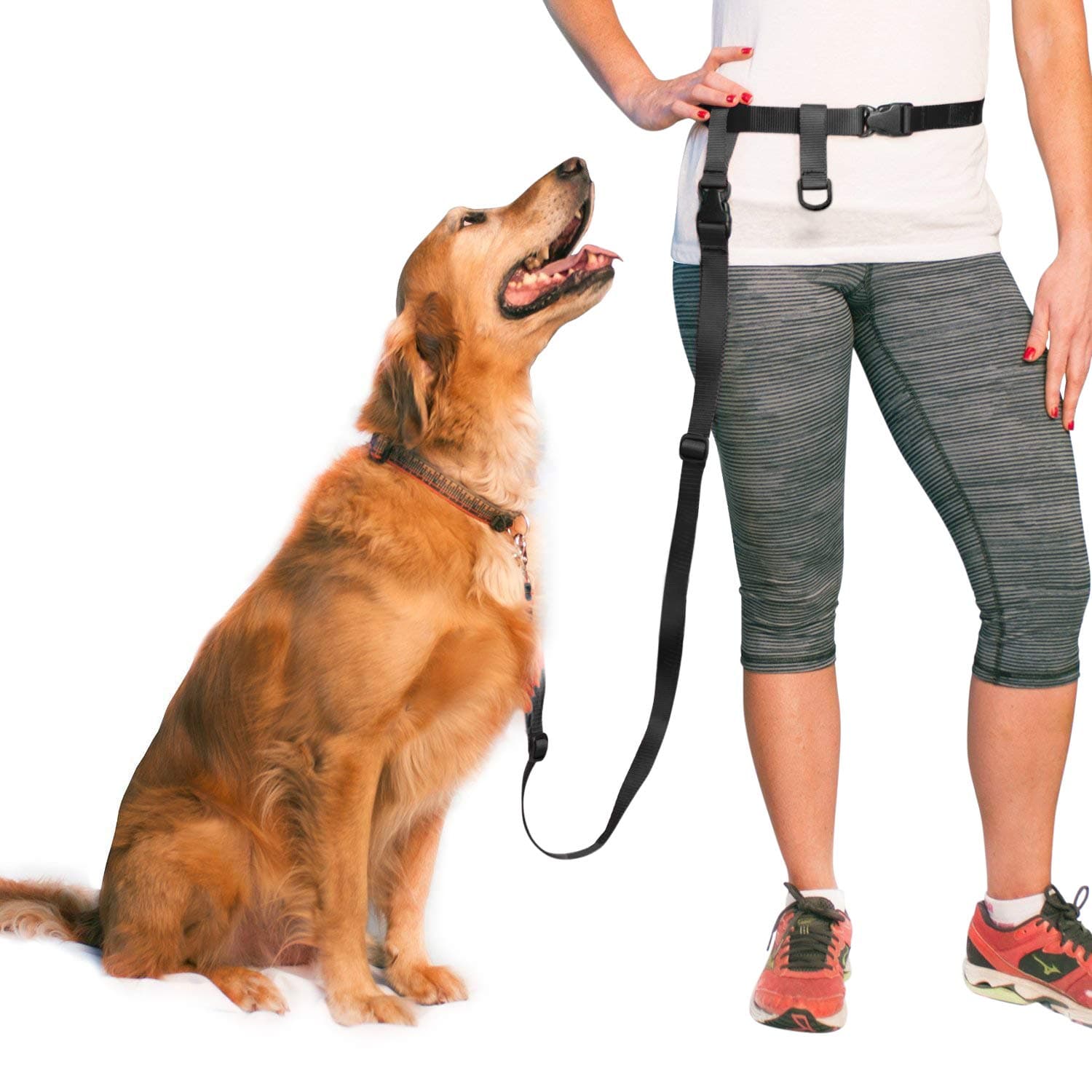 The Buddy SystemAdjustable Hands Free Dog Leash, Hand-Free Leash for Running, Jogging, Walking, Hiking and Training Service Dogs, Versatile All Dog Sizes - Made in USA - Regular, Black