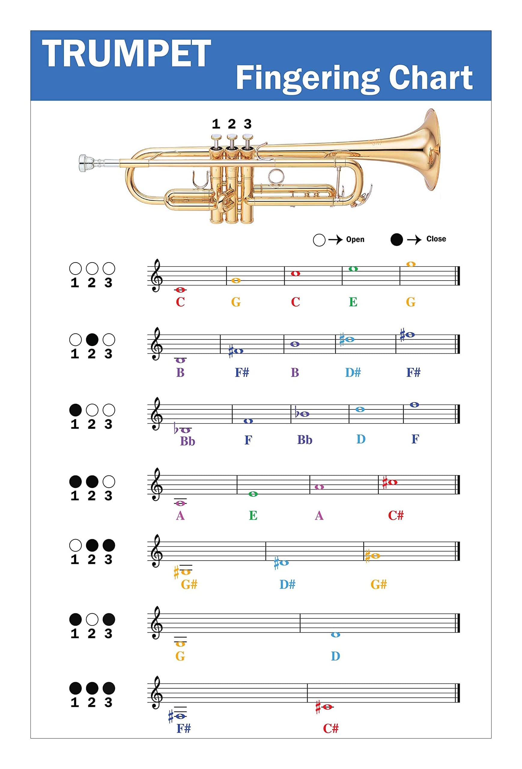 Trumpet  Fingering Chart with Color-Coded Notes, Learn  Trumpet Technique