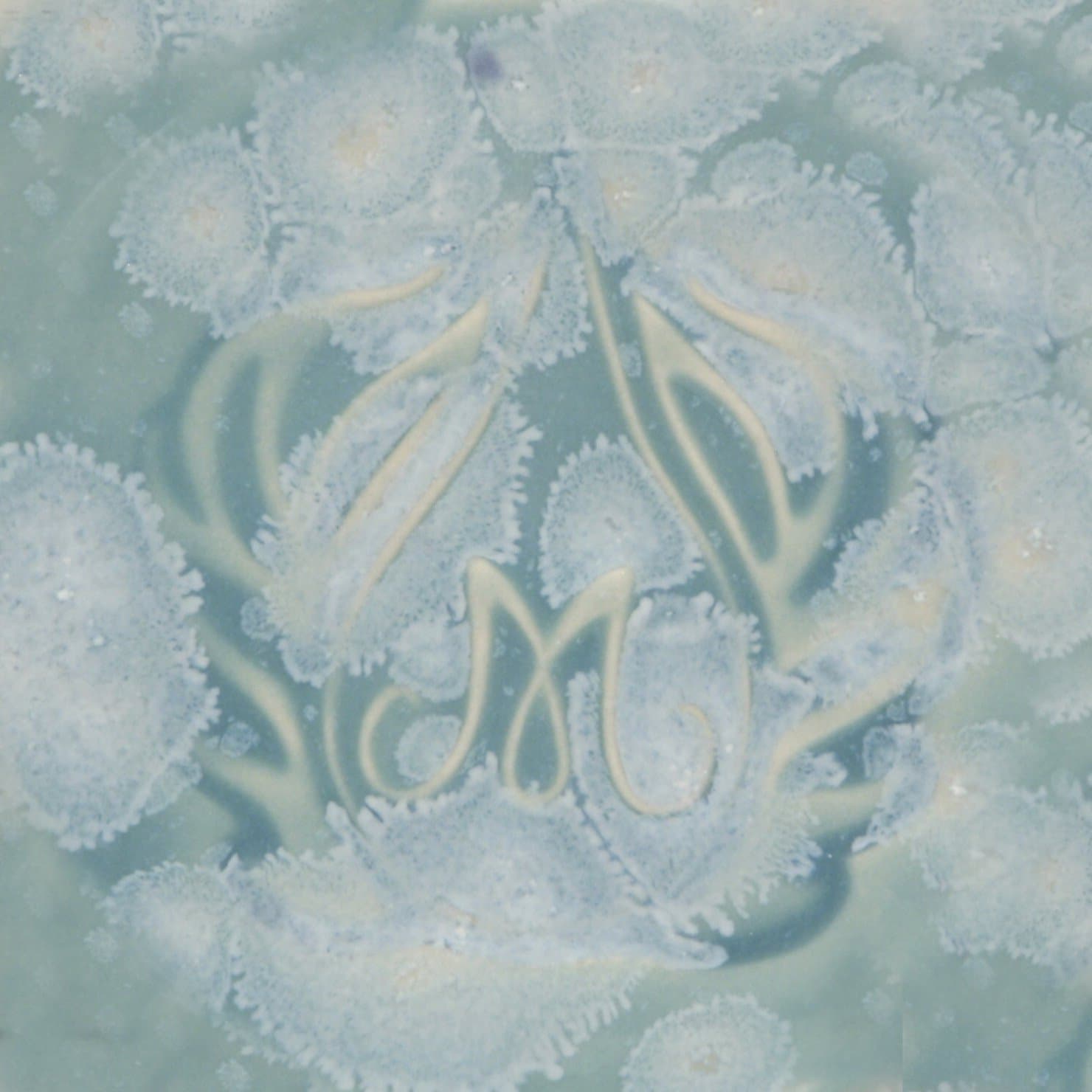 Stoneware Crystal Glaze - Celadon Bloom, Pint