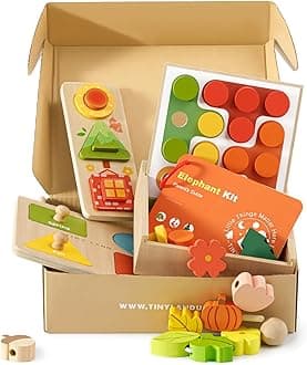 Montessori Toy Set for Babies 18-24 Months Investigator Play Kit- 4-in-1 Wooden Learning Toys with Color Sorting, Lacing Beads, Shape Matching, and Seasons Puzzles