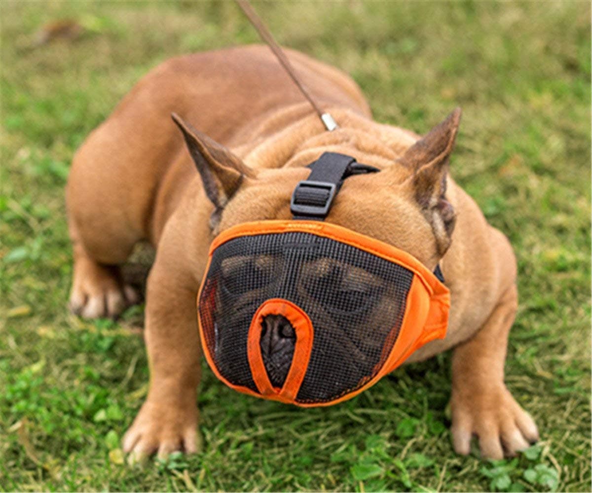 Short Snout Dog Muzzle Adjustable Breathable Mesh French Bulldog Muzzle for Biting Chewing Barking Training Dog Mask Flat Faced Muzzle for Shih Tzu and Pug Color May Vary (Medium (11-17 INCH))