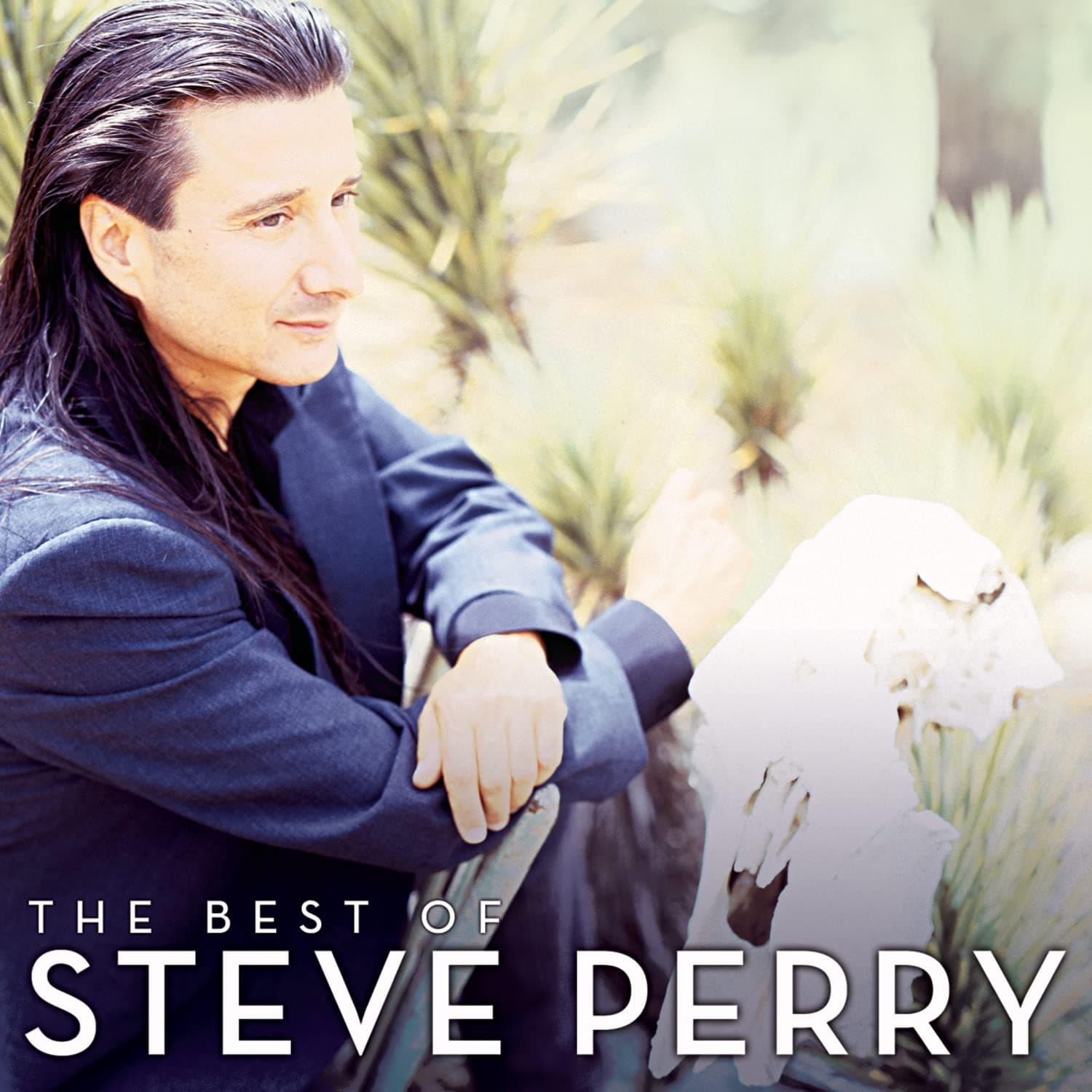 The Best of Steve Perry