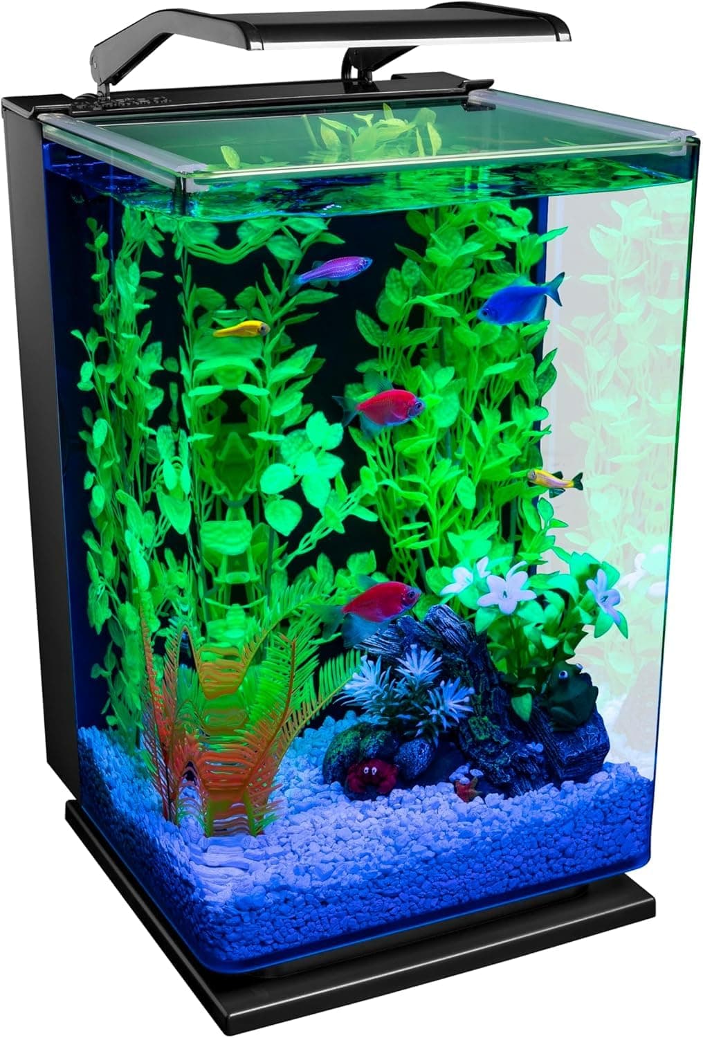 aquarium Kit 5 Gallons, Includes Hinged Cycle Light And Hidden Filtration