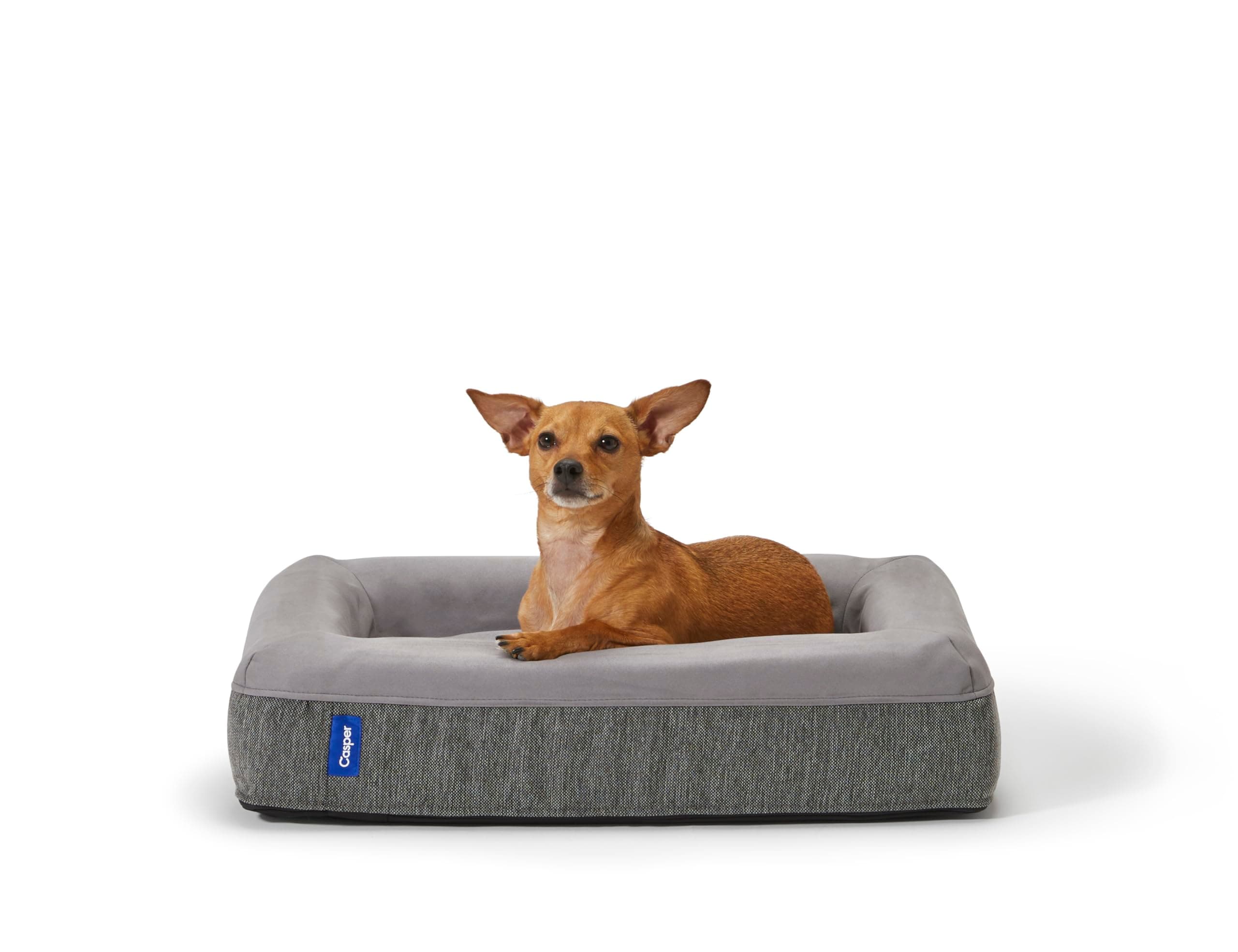Casper Dog Bed, Plush Memory Foam, Small, Gray, 26.0"L x 19.0"W x 6.0"Th