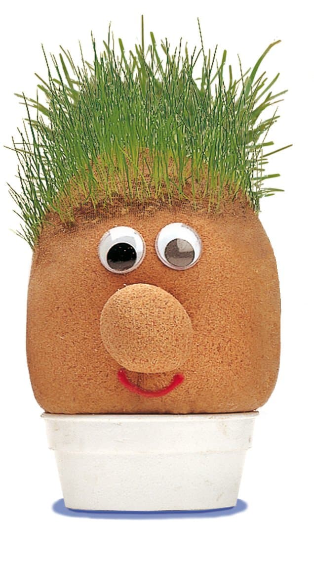 Tobar MR GRASSHEAD