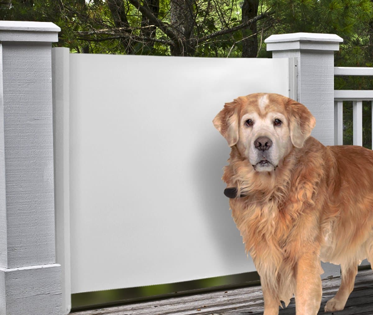 RETRACTABLE PET GATE - EXPANDS TO 46"W