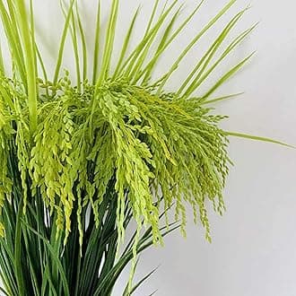 Fake Grain Paddy Ear of Rice Plant Green Plants Artificial for Home Decoration Hall Shop Window Garden 12 Packs Stems (Green)