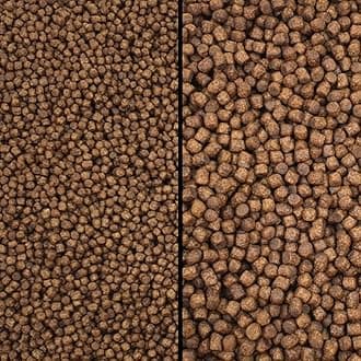 Koi Growth Pellets Floating - Pond Fish Food Carp Goldfish Coldwater Chub Grower (Large Pellet Size (6mm), 250g)