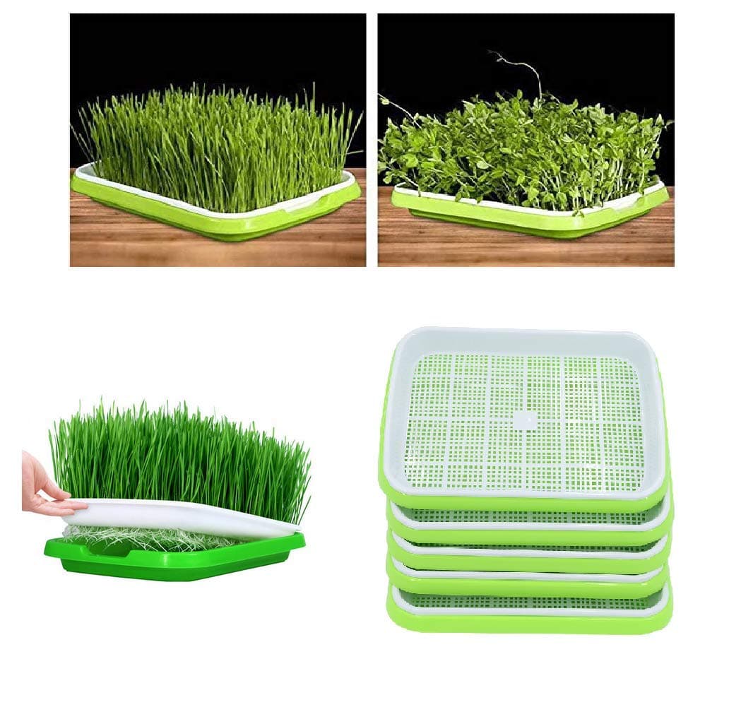 YAKOK Seed Sprouter, 5Pcs Double-layer Seed Propagator Seed Sprouter Tray Sprouting Seeds Tray Seed Germinator