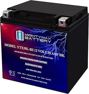 Mighty Max Battery YTX30L-BS 12V 30AH Battery for Polaris 800 Ranger 2012-2014
